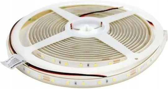 Led-Band Ls V 1000 840 5 Ip66 40w 4000k 4058075705562 Ledvance 4058075705562