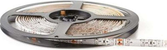 Eco Light Ταινία LED 12V Ψυχρό Λευκό Φως 5m Τύπου SMD2835