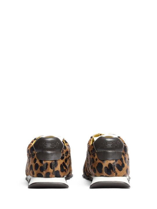 Women's Sneakers Brown