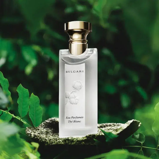 Bvlgari Eau Parfumée Au Thé Blanc Unisex Set Cadou