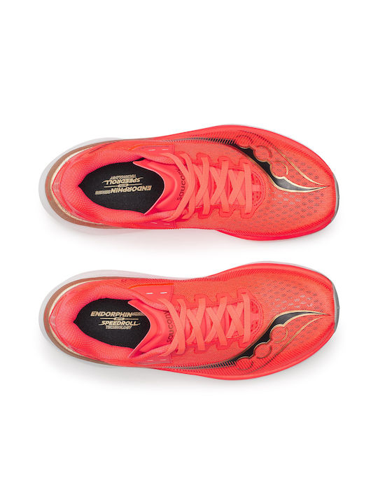 Endorphim Azura Women's Sport Shoes Running Orange