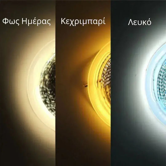 SteweHome Правоъгълен Огледало За Баня LED Със Сензорно Управление 55x65см Бял