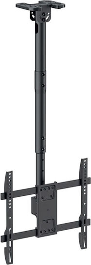 Superior SUPSTV023 Βάση Τηλεόρασης Οροφής έως 70" και 65kg