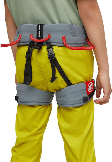 Mammut Children's Climbing Harness