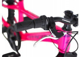 Carrera 20" Παιδικό Mountain Bike Ροζ
