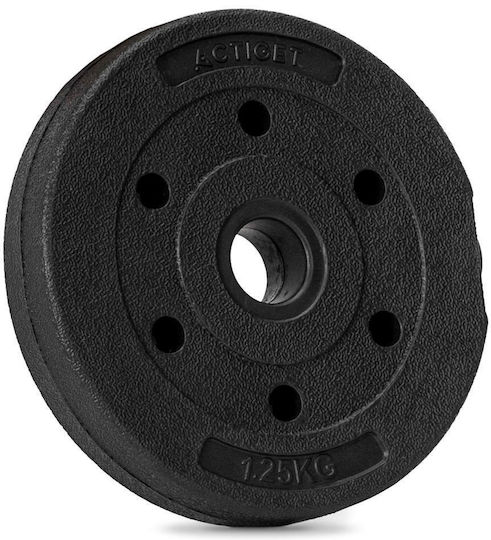 Disc 1 x 1.25kg Φ29mm