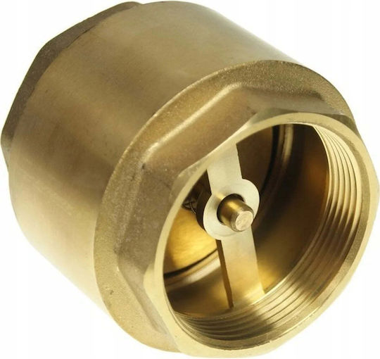 Non-Return Valve with Brass Disc 20 Hydr.zz.m.20