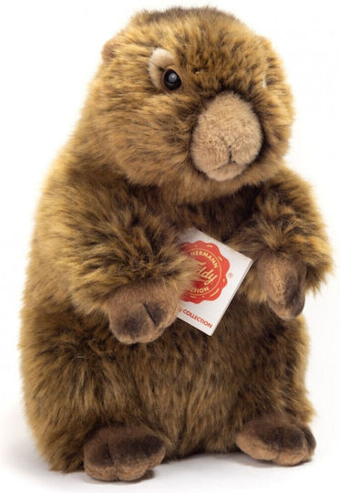 Teddy Плюшена Играчка 20 см