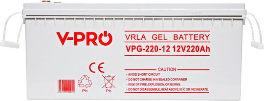 Volt Polska Μπαταρία UPS με Χωρητικότητα 220Ah και Τάση 12V