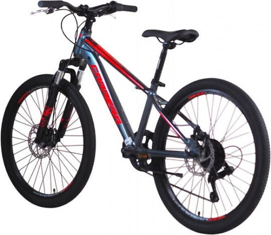 24 Παιδικό Mountainbike mit Aluminiumrahmen Grau