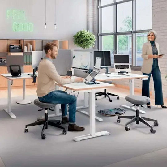 Leitz Προστατευτικό / Διαχωριστικό Γραφείου Plexiglass 60x70cm