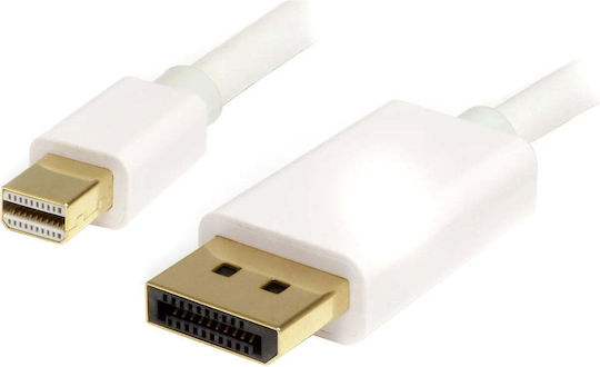 StarTech Кабел mini DisplayPort мъжки - DisplayPort мъжки 1м Бял (MDP2DPMM1MW)