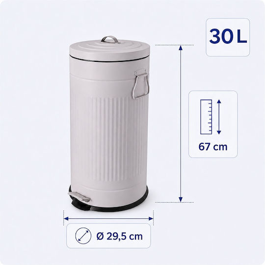 Relaxdays Coș de Gunoi Metalic cu Pedală 30 l Gri