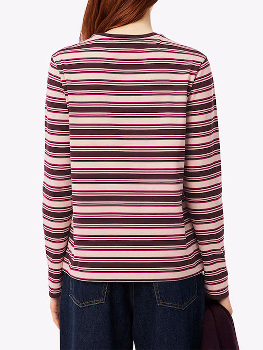 Lacoste Bluse Multi