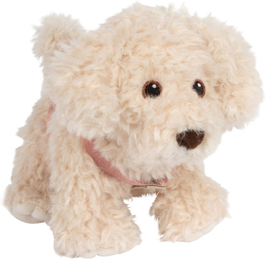 Small Foot Dog With Bag And Care Kit