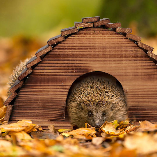 Relaxdays Brown Straw Hedgehog House Metal Frame 40 X 30 X 30 Cm