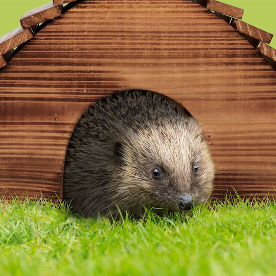 Relaxdays Brown Straw Hedgehog House Metal Frame 40 X 30 X 30 Cm