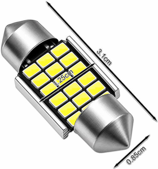 C5W LED Innenraumleuchte 31 mm Canbus 12 V 18 SMD 6500 K Kaltweiß 2 Stück X-Wheat