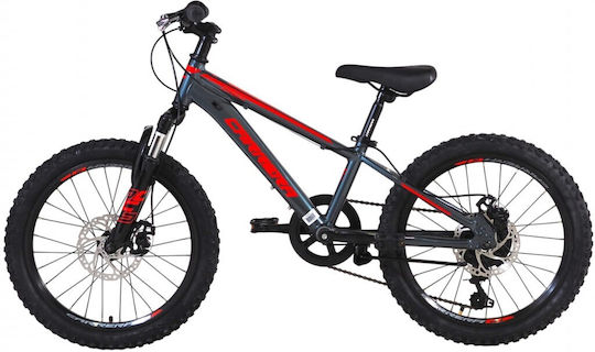 20" Παιδικό Mountain Bike με Δισκόφρενα και Σκελετό Αλουμινίου Γκρι