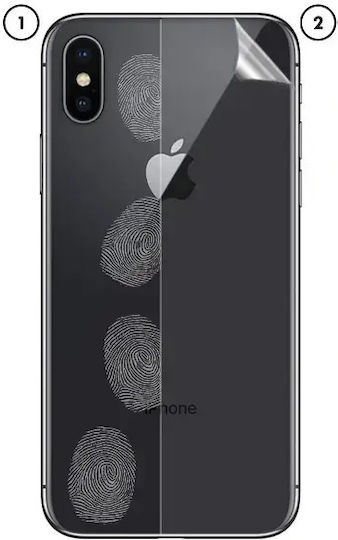 GrizzGlass Мембрана За Гръб Прозрачна