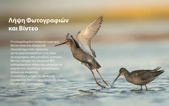 Pulsar Μονοκυάλι Παρατήρησης Θερμικής Απεικόνισης Alaris Xq30