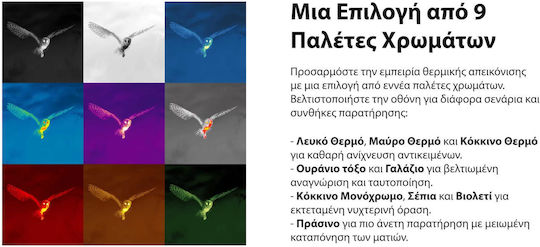 Pulsar Μονοκυάλι Παρατήρησης Θερμικής Απεικόνισης Alaris Xq30