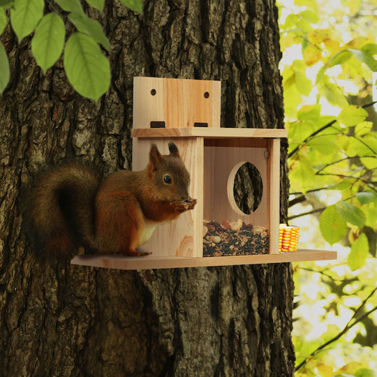 Squirrel Feeding House Relaxdays 10048786 Pine Wood Kit 2 Entrances Plastic Plate Natural 24 X 35 X 13 Cm