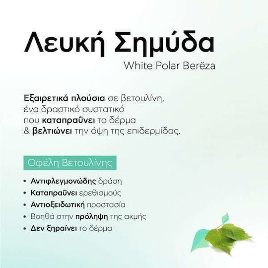 Natura Siberica Bereza Polar White Birch Face Mask 100ml