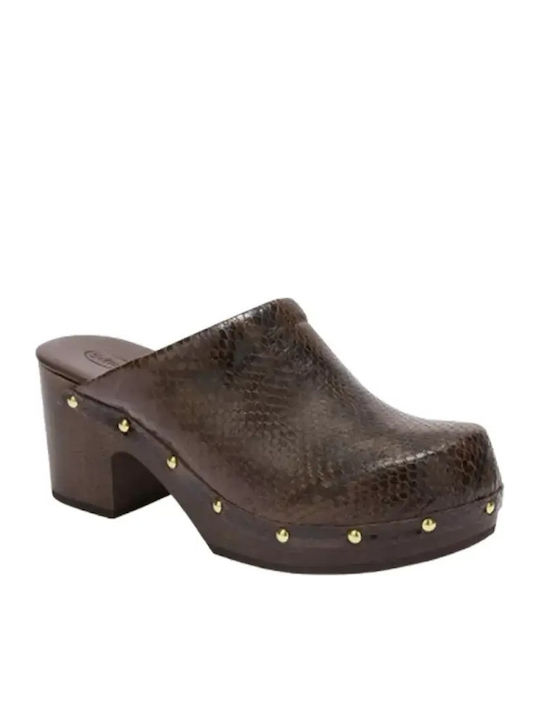 Scholl