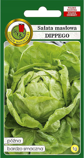 Σπόροι Μαρουλιού Butterhead 1gr