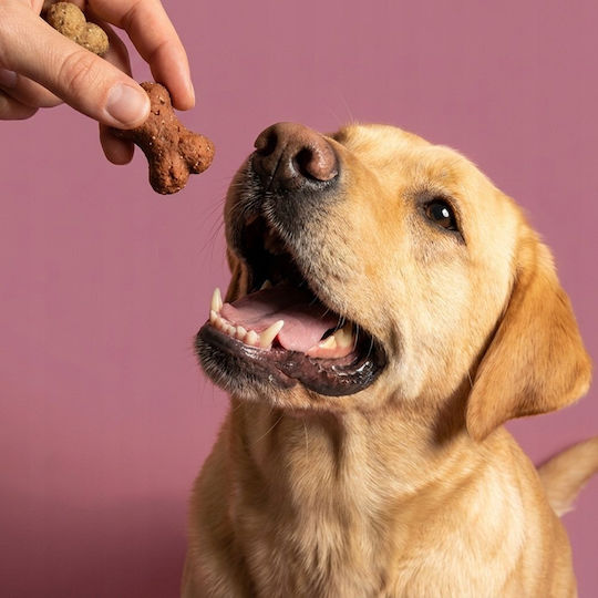 Bult Dog Treat 125 g