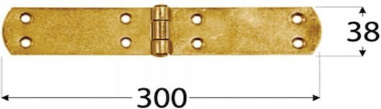Domax Hinge 8077 Hinge 300×38×2.5 Mm Galvanized