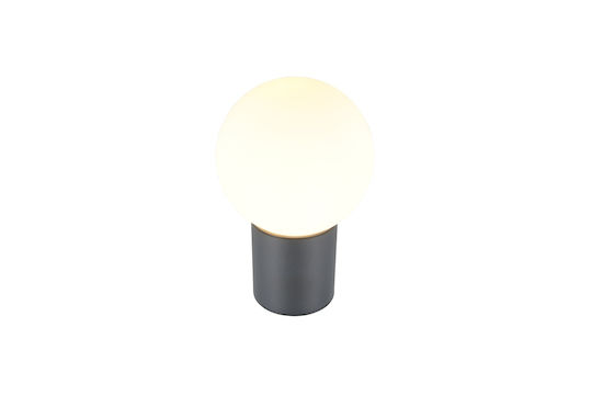 Trio Lighting Mures Wall-Mounted Outdoor Lighting