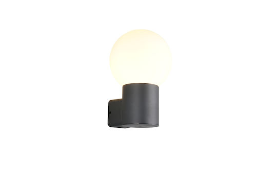Trio Lighting Mures Iluminat Exterior Montat Pe Perete Trio Lighting Mures Iluminat Exterior Montat Pe Perete