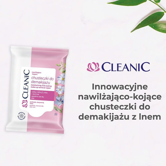 Cleanic Face Makeup Remover Wipes for Oil Control