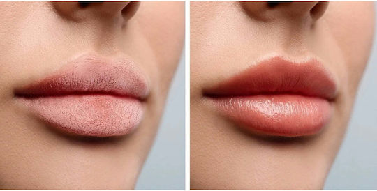Eveline Lip Balm SPF10 Exotic Mango