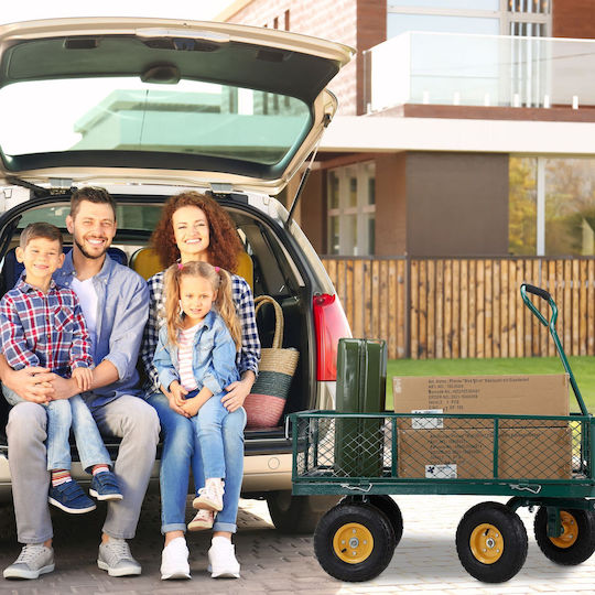 Relaxdays Sistem pentru Transportarea / Ridicarea Încărcăturilor cu o Capacitate de Până la 250 kg, de Culoare Verde