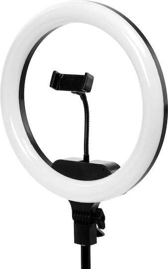 Activeshop Ringlicht