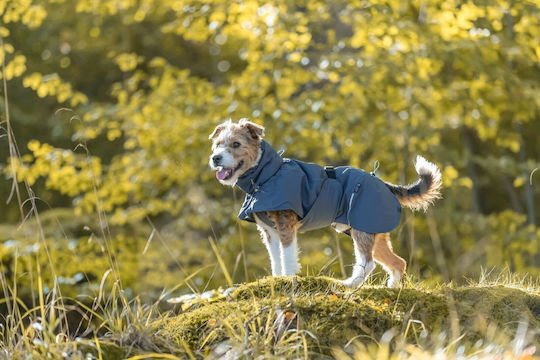 Trixie Explore Μπουφάν Σκύλου Γκρι XL με Μήκος Ράχης 70 εκ.