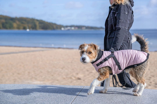Trixie Pontis Pink Dog Coat Small with 40 cm Back Length