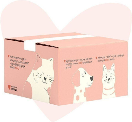 Animal Island Wet Food for Adult Cats with Chicken 48x85gr