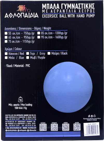 Athlopaidia Minge Pilates 95cm , 1.1kg în culoare Negru
