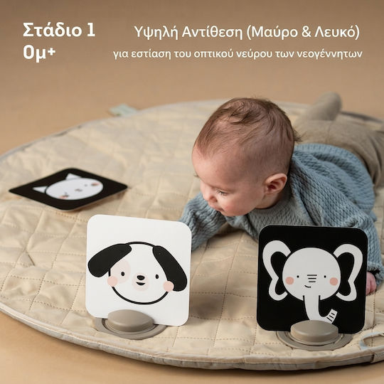 Taf Toys Ζωάκι My 1st Discoveries Flash Cards για Νεογέννητα