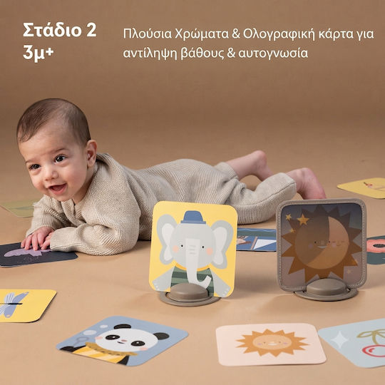 Taf Toys Ζωάκι My 1st Discoveries Flash Cards για Νεογέννητα