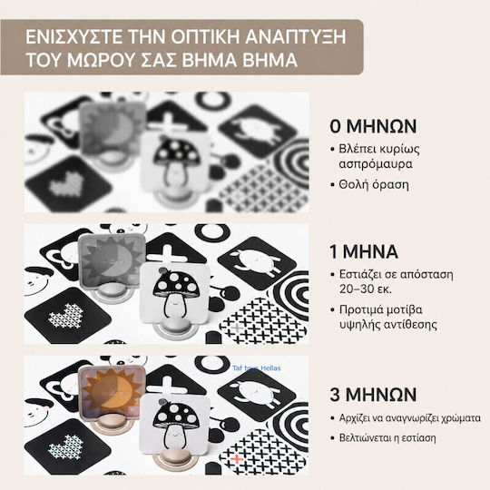 Taf Toys Ζωάκι My 1st Discoveries Flash Cards για Νεογέννητα