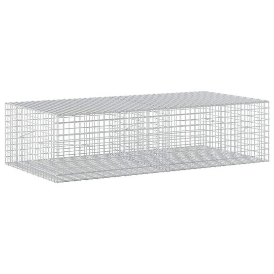 vidaXL Steel Gabion Basket for Garden Fencing 5x5x50 cm Silver
