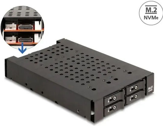 Delock 3.5" Removable Frame 4 × M.2 Nvme Ssds