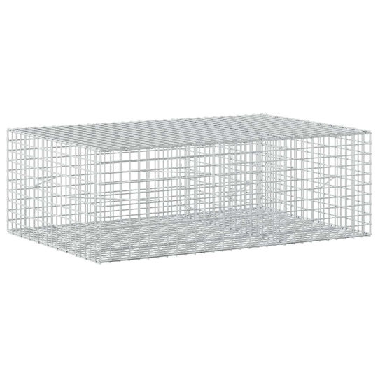 vidaXL Steel Gabion Box for Garden Fencing 5x5x50 cm Silver