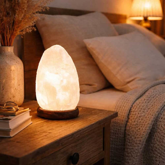 Decorative Himalayan Warm White Light Fixture Decorative Himalayan Warm White Light Fixture