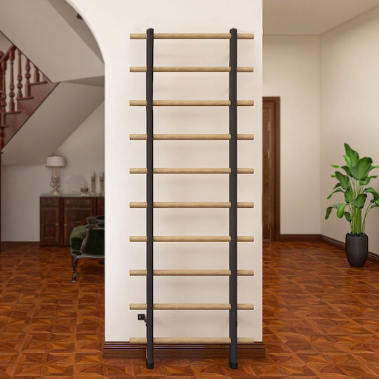 inSPORTline Wall Bars for User Weighing up to 150kg